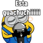 variroooo Minions 