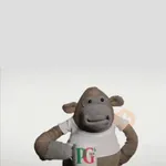 PG Tips Monkey Random🐵