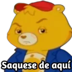 ✨Ositos cariñositos MEMES 🩵
