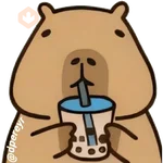 capibara 
