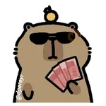 capibara 