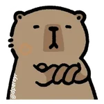 capibara 