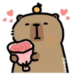 capibara 