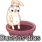 🐰 Conejo de pascua 🐇🥕🥚