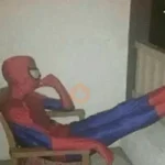 Memes homem aranha