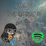 🕷 Letras de canciones 🕷
