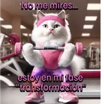 Funny Gym 💪🏼
