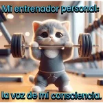Funny Gym 💪🏼
