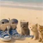 🦈 Los tralaleritos dicen 💀