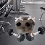 💥Gym Mood 🏋🏻‍♂️💪🏻