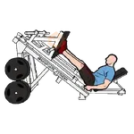 GYM TREINO ACADEMIA