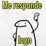 MEMES PRA VOCÊ USAR
