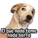 🌊 Stickers sin Filtro #➌ 🌊