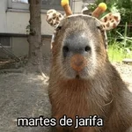 La Semana con Capibaras🦛🗓️✨