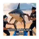 Noo la policía noo 🚔🚓