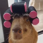Capibara Random 🍉