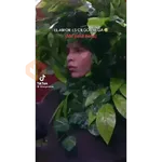 emiro navarro