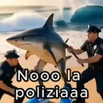 🚨 Noo la policía noo🚨Brainrot