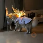 Virales de tiktok 📲