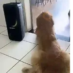 Virales de tiktok 📲