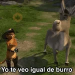 Sherk ✨ Memes clásicos 2