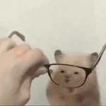 Más Animalitos!  🙊🐕