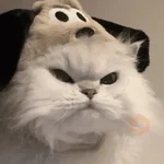 🐾 Gatitos Anti-Depresivos #➌