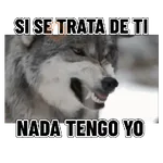 En modo de defensa estoy 🛡️