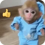 🐒 Reacciones de monitos🐒