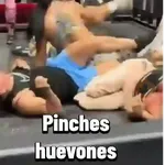 virales tik tok 