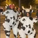 vaca bailando 😎