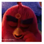 Meme Angry birds 💢😅