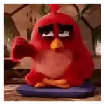 Meme Angry birds 💢😅