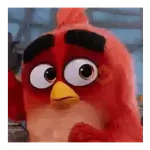 Meme Angry birds 💢😅