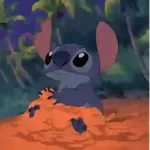Stitch 💙✨️