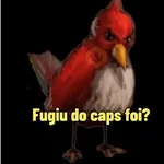 Memes Angry birds
