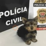 Memes. | @ocenferios  𝐇aki.