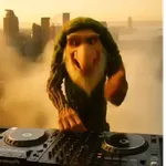 Tiktok brainrot Brr brr 