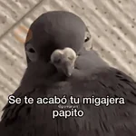 💥PAL GRUPO💥💬 2
