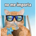 Michis con calor 🥵🥵
