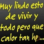 Frases del Calor 🫠