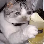 Pa la peda 😎