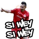 Toluca FC momazos