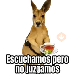🦘Memes canguro 🦘😂