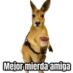 🦘Memes canguro 🦘😂