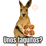 🦘Memes canguro 🦘😂