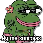 Caricaturas Memes🎈🪅