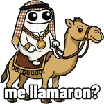 Flork árabe 😎💼