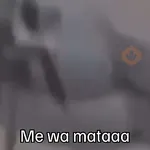 🐦 PALOMA MIGAJERA BAILANDO🐦