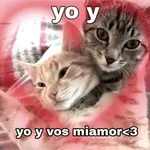 😏 PARA LIGAR 😏